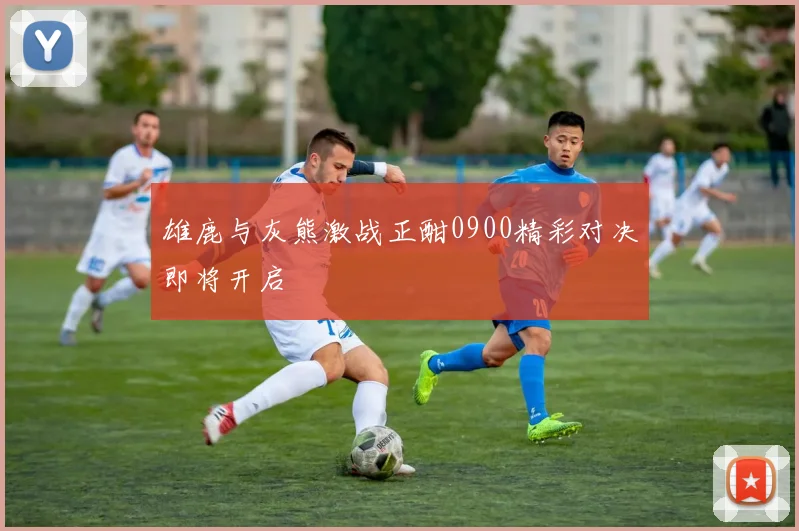 雄鹿与灰熊激战正酣0900精彩对决即将开启