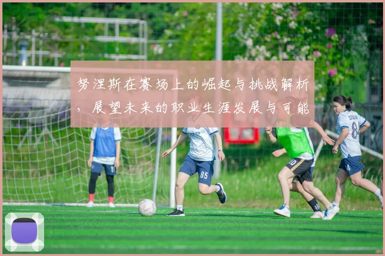 努涅斯在赛场上的崛起与挑战解析，展望未来的职业生涯发展与可能性