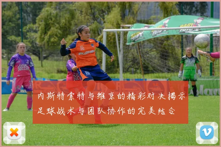 内斯特索特与维京的精彩对决揭示足球战术与团队协作的完美结合