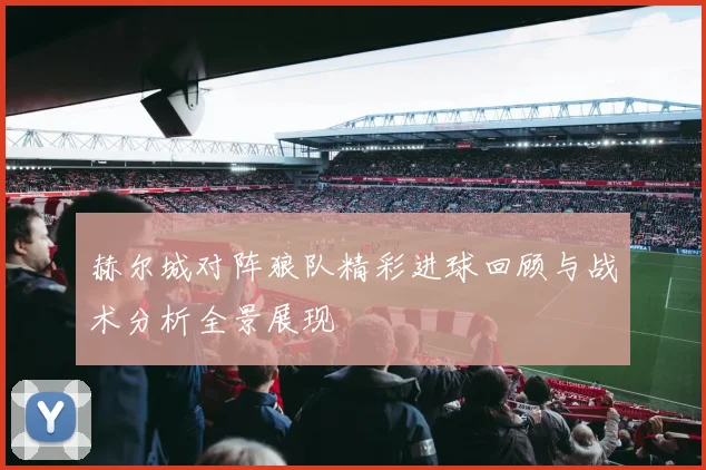 赫尔城对阵狼队精彩进球回顾与战术分析全景展现