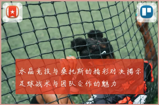 水晶竞技与桑托斯的精彩对决揭示足球战术与团队合作的魅力