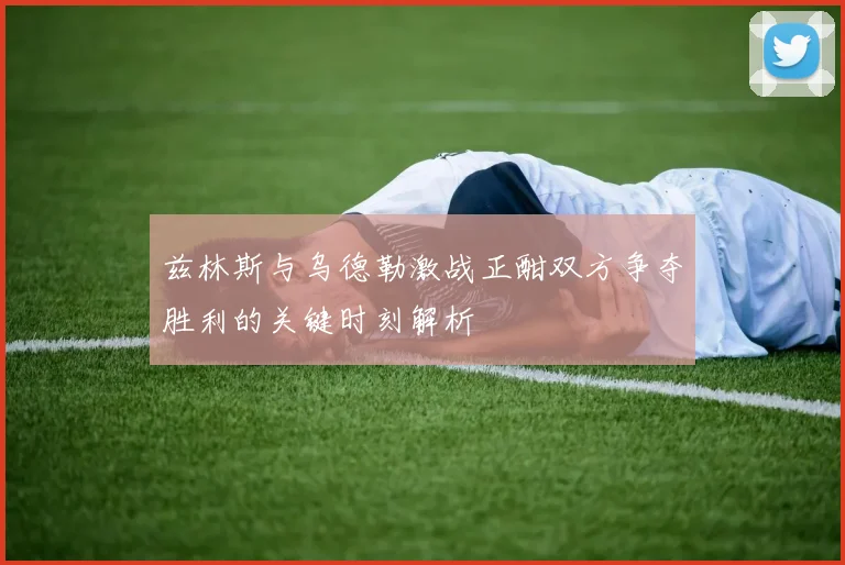 兹林斯与乌德勒激战正酣双方争夺胜利的关键时刻解析