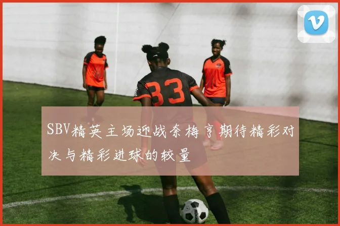 SBV精英主场迎战奈梅亨期待精彩对决与精彩进球的较量
