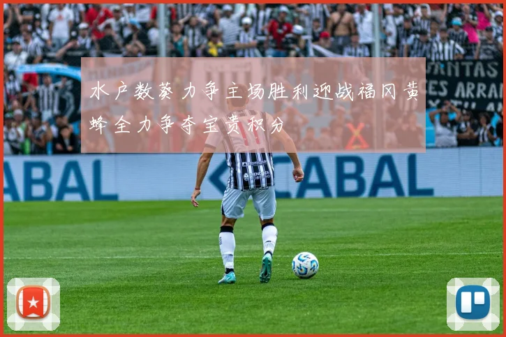 水户数葵力争主场胜利迎战福冈黄蜂全力争夺宝贵积分