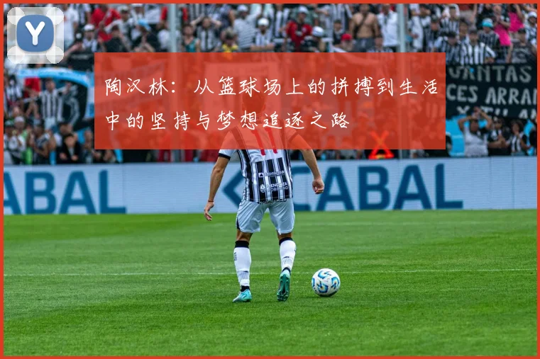 陶汉林：从篮球场上的拼搏到生活中的坚持与梦想追逐之路